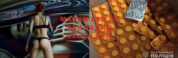 стафф Бронницы