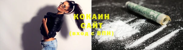 сатива Козельск