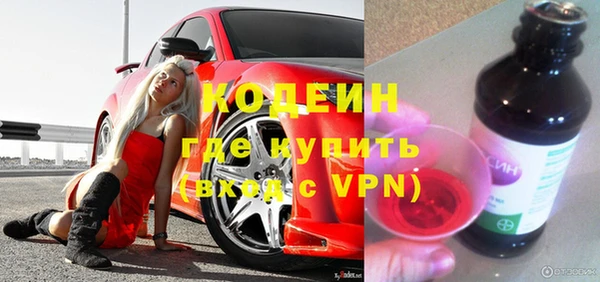 шишки Бородино