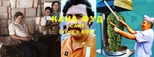 шишки Бородино