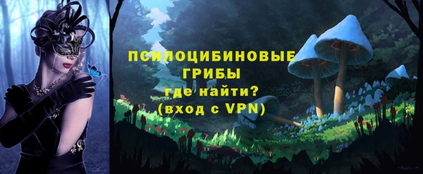 амф Кодинск
