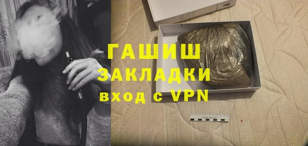 шишки Бородино