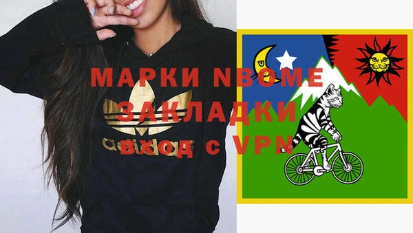 шишки Бородино