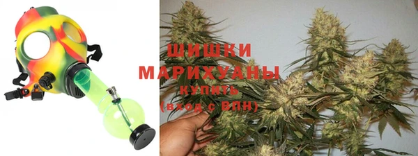 стафф Бронницы