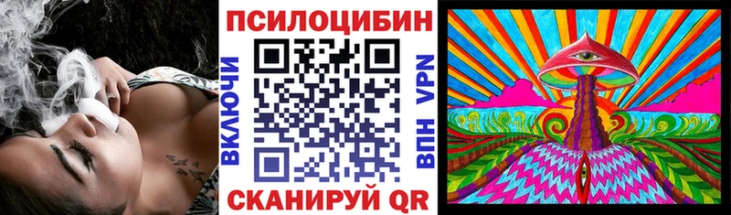 купить   Макаров  Галлюциногенные грибы Magic Shrooms 